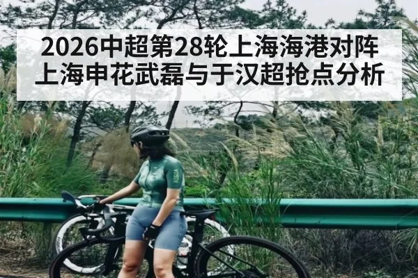 2026中超第28轮上海海港对阵上海申花武磊与于汉超抢点分析